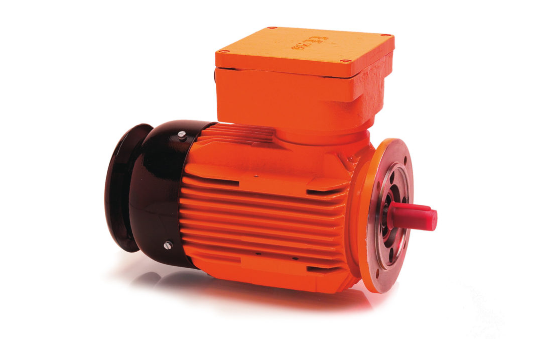 Ex-geschützte Drehstrommotoren